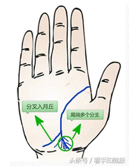 生命線旁邊多一條|生命線怎樣看？分叉或斷開未必是壞兆頭｜原來左右手、男與女也 